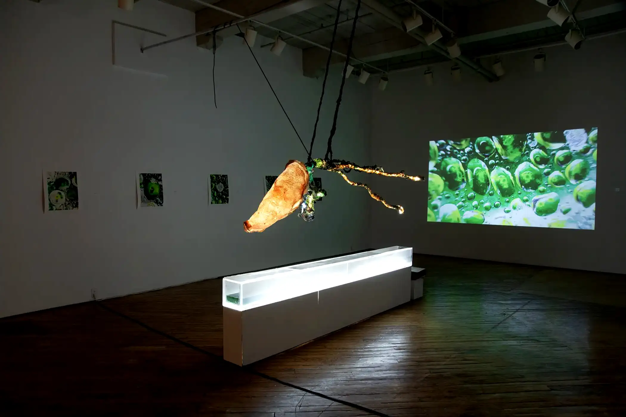 LACE Installation