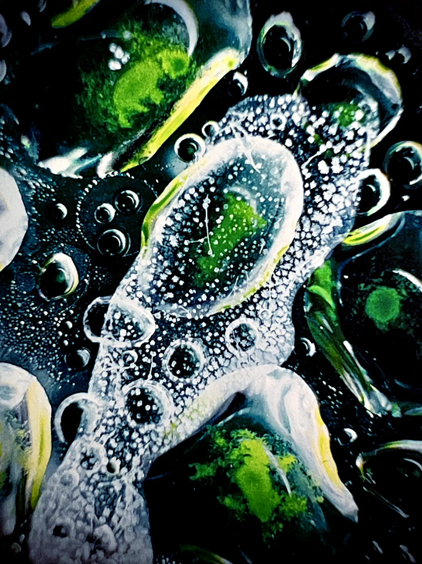 Alganese Print I