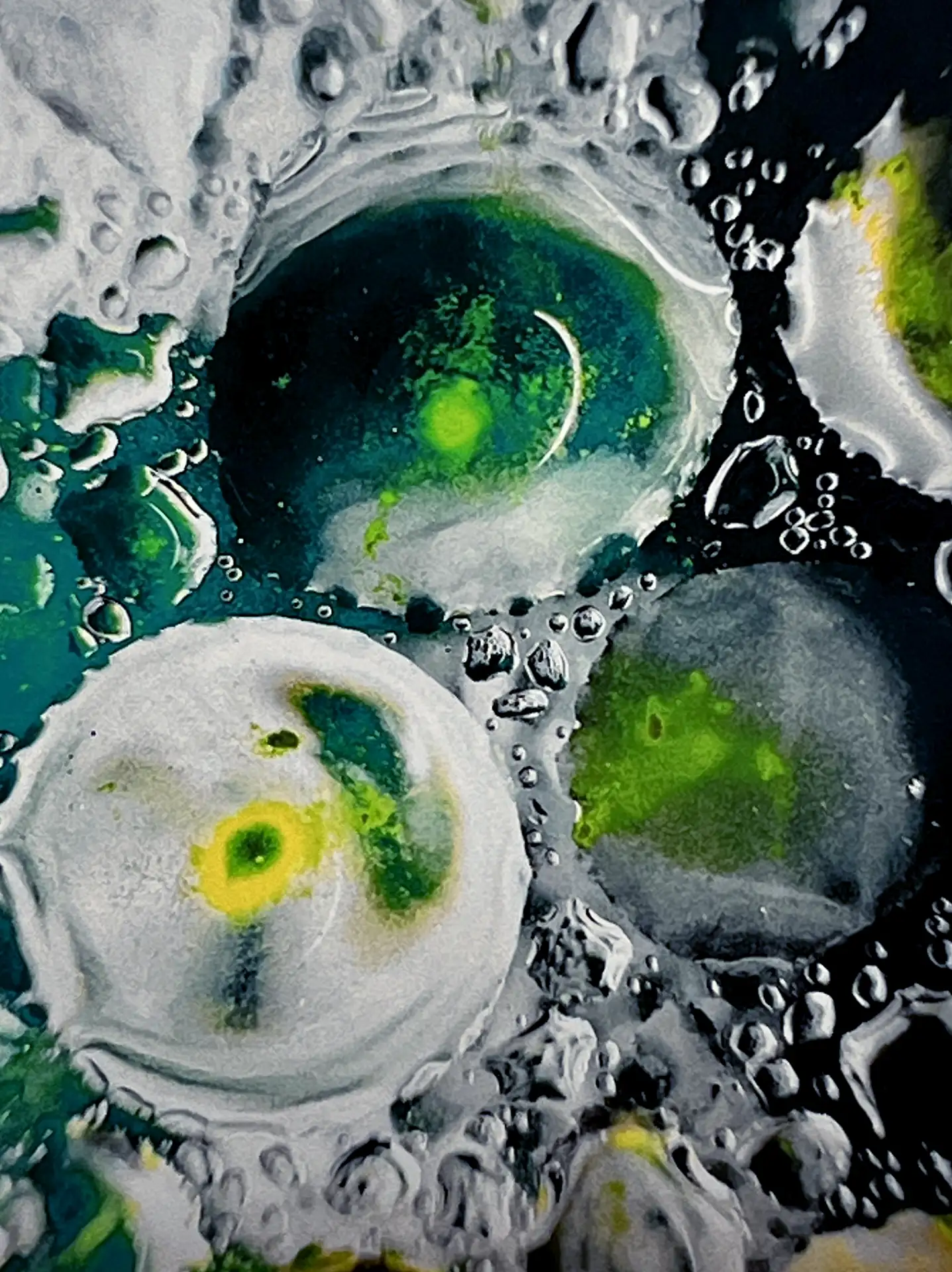 Alganese Print III