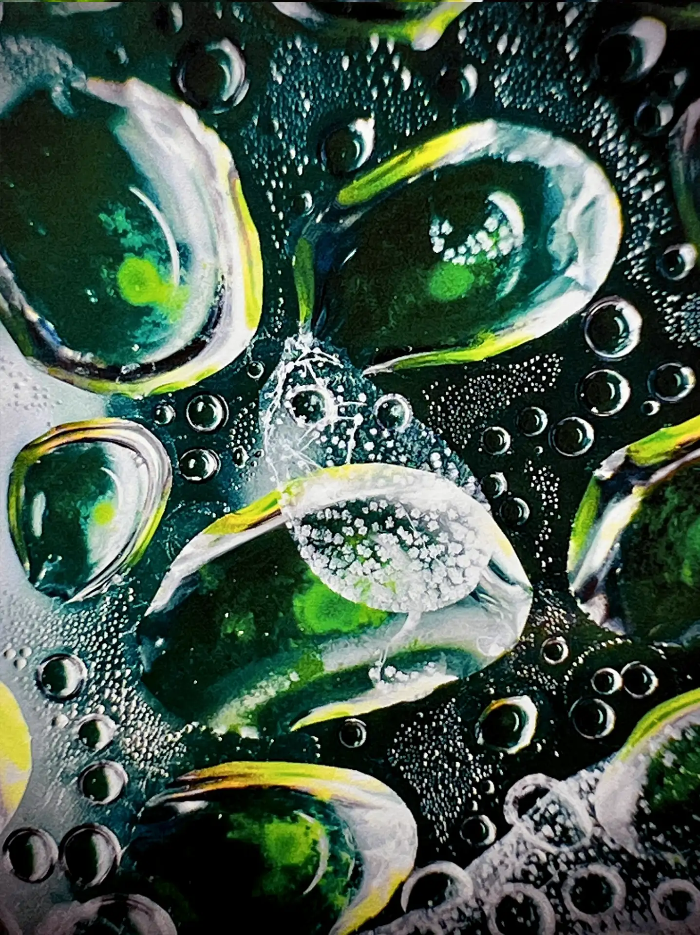 Alganese Print V